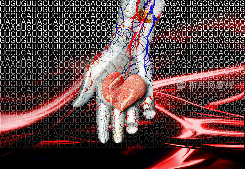 心形的人造肉被放置在金属机器人的手掌上。背景为红色血管和mRNA编码。