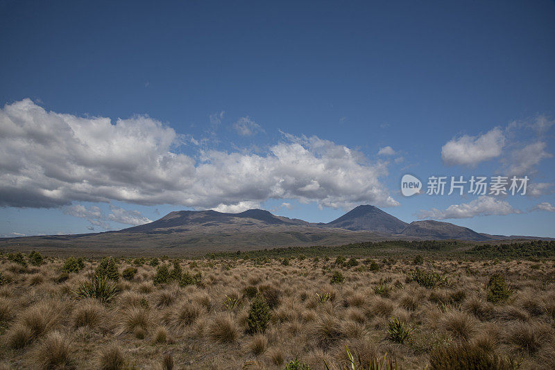 式Tongariro