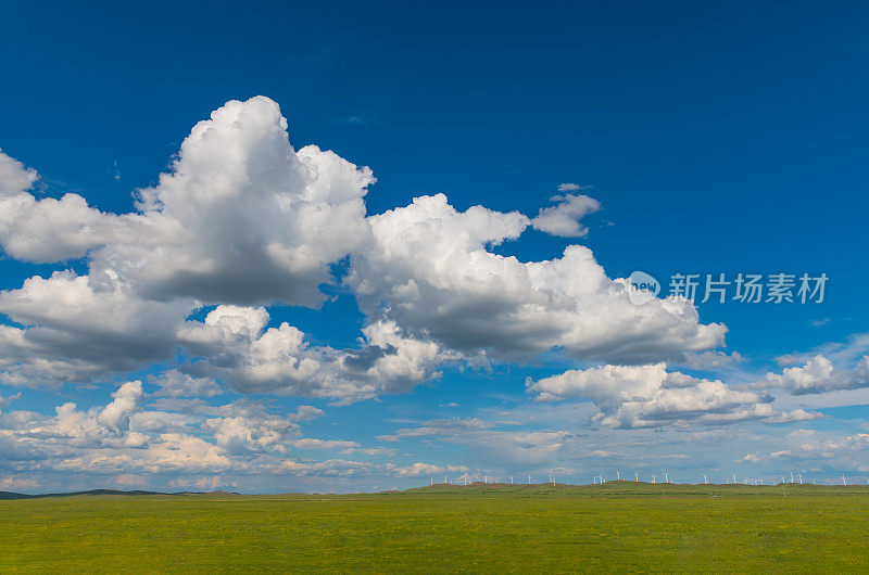 绿色的草地，蓝天和白云的背景