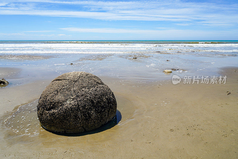 新西兰南岛奥塔哥Koekohe海滩退潮时的莫尔基巨石