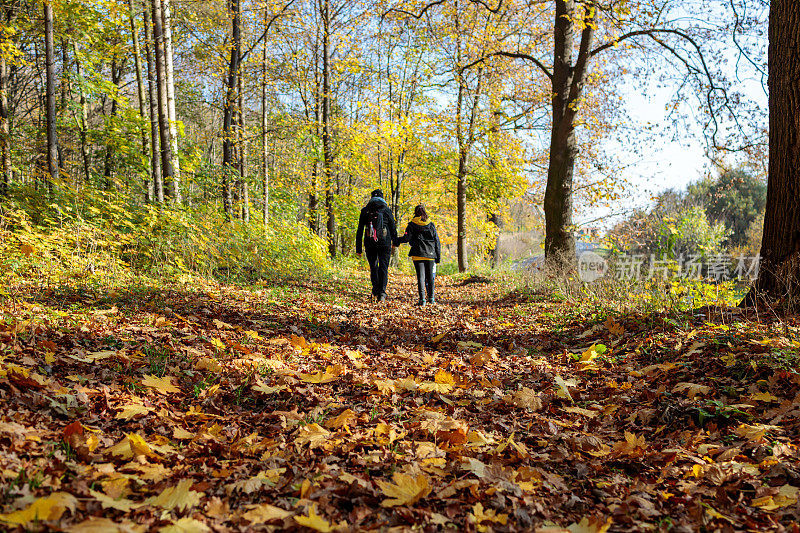 一家人走在满是树叶的小路上，阳光明媚的秋日森林低角
