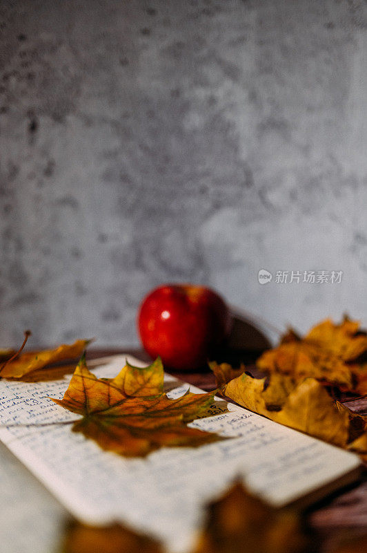 秋叶和一个旧的木制背景笔记本