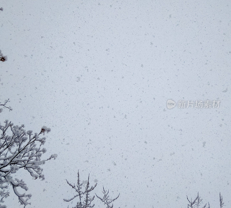 降雪。