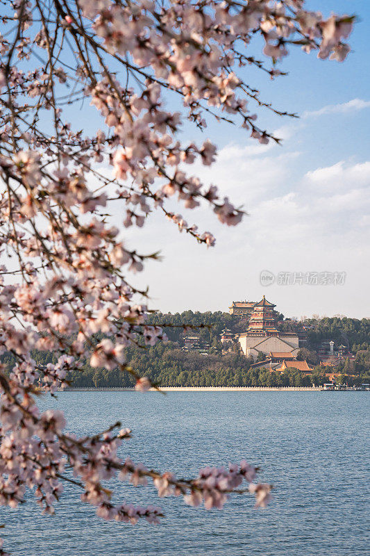 春天的北京颐和园