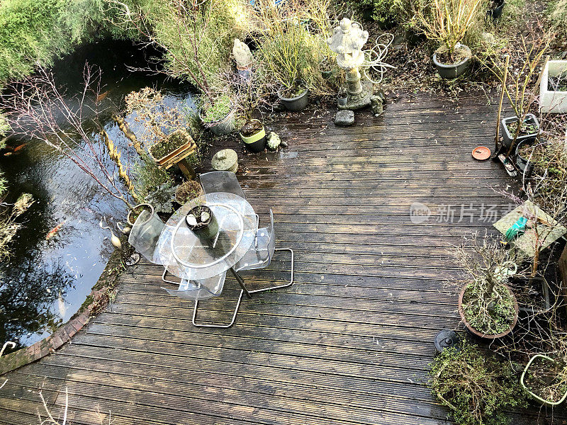 池塘边的花园装饰，用枫树盆，日本石灯笼和花园雕像装饰，风化的，未经处理的，开槽的硬木木材装饰，高的视野