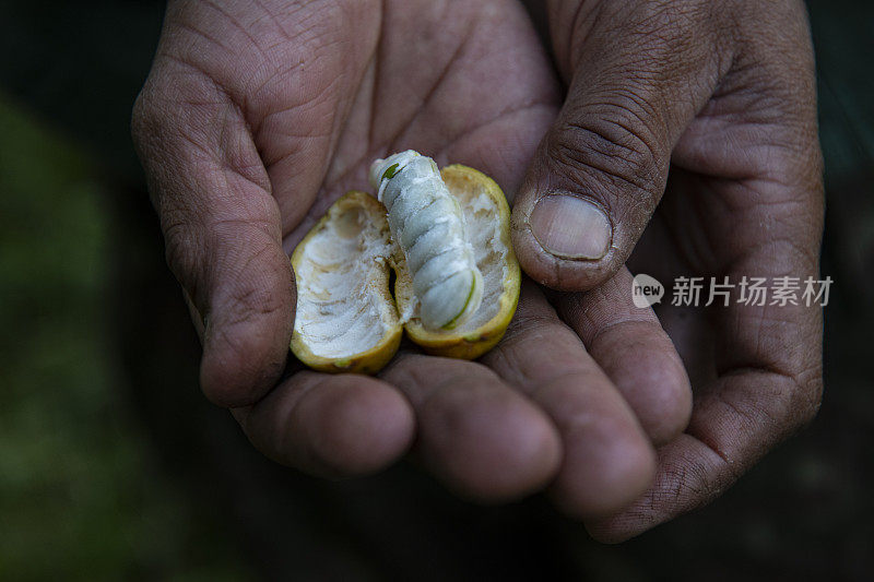 没有水果