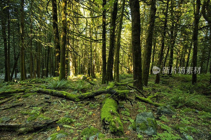 加拿大卑斯省霍普市的洪水瀑布步道