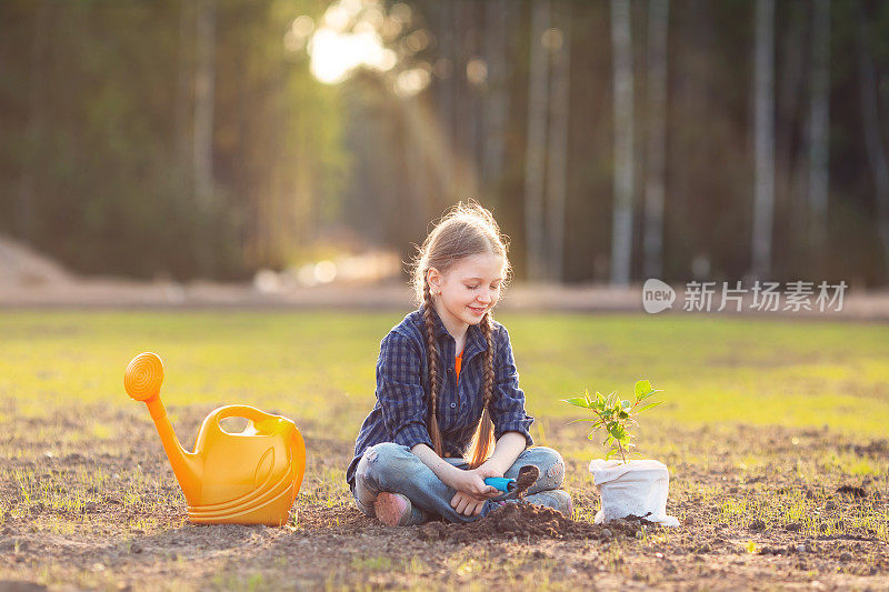 一个扎着两条辫子的小女孩在夕阳下森林的背景下，在一片年轻的草坪上种下了一棵小幼苗。