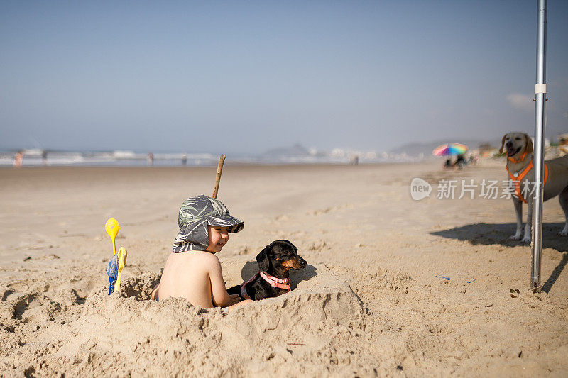 一个男孩在海滩上和一只狗玩耍