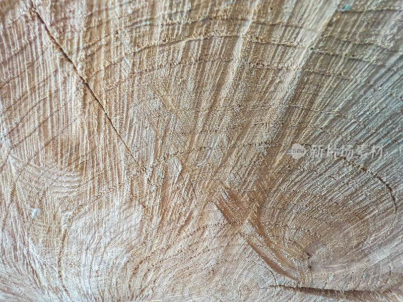 树桩作为纹理或背景的干而轻的树桩