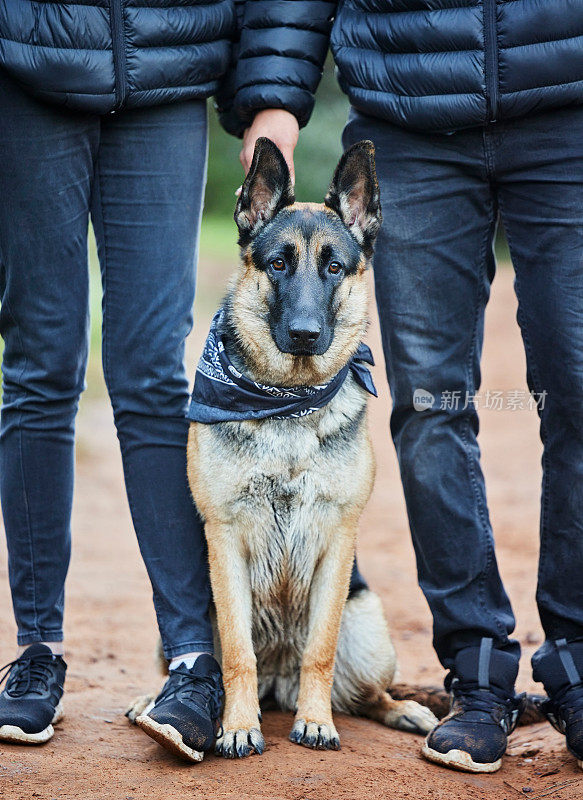 一名男子和他可爱的德国牧羊犬在公园里共度美好时光