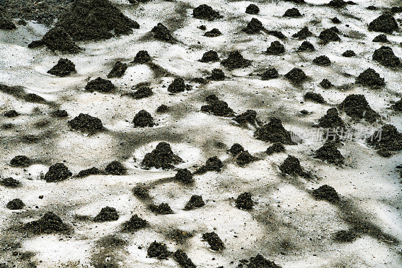 俄罗斯堪察加半岛的火山景观。