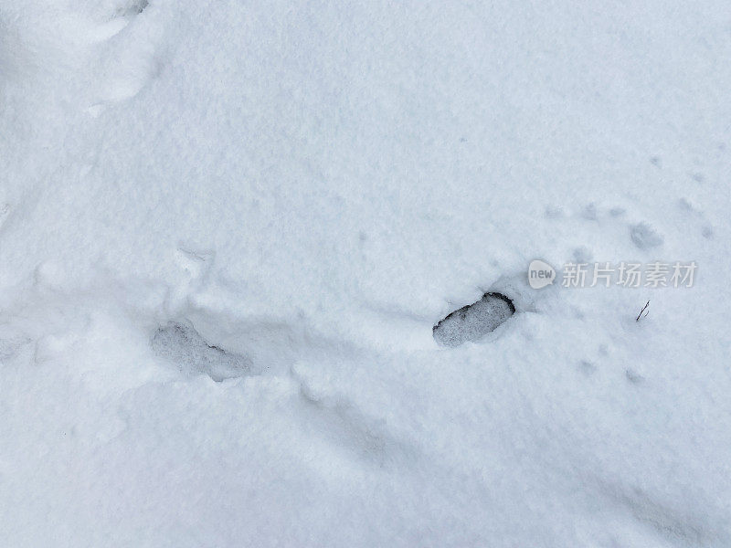 雪地上的脚印