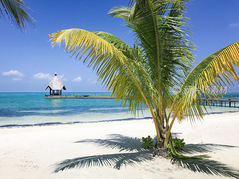 马尔代夫Canareef度假村码头，Herathera岛，阿杜环礁，马尔代夫