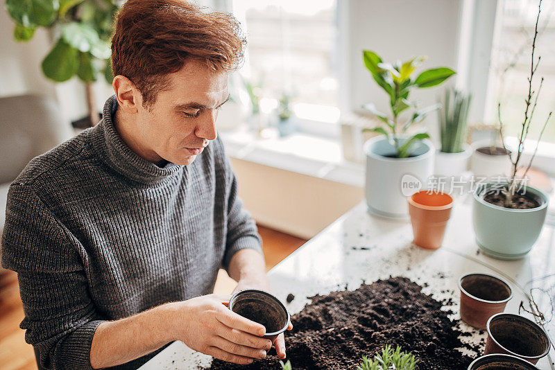 里德海德先生在家里种植室内植物