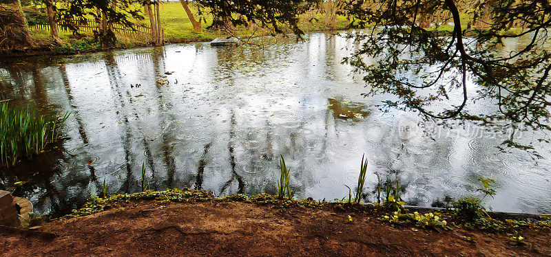 水仙花湖，春树，阳光，风景秀丽，风景一般，季节路巷乡村