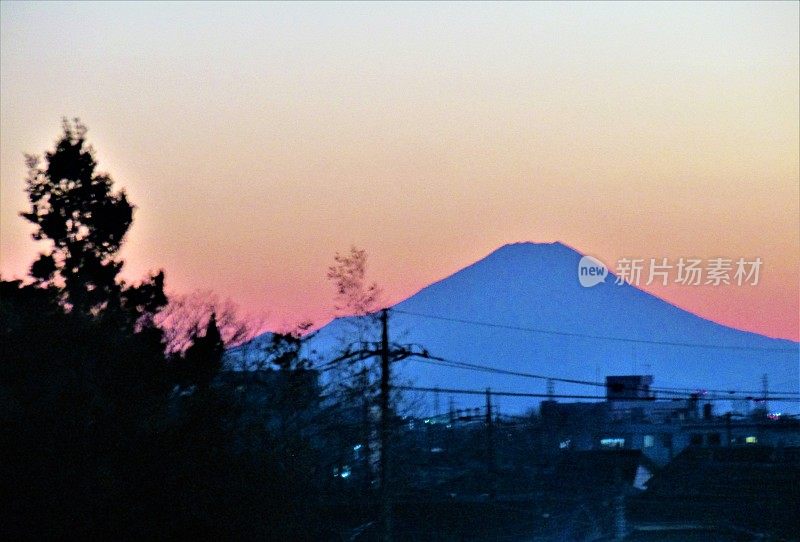 日本。2月。夕阳下的富士山。