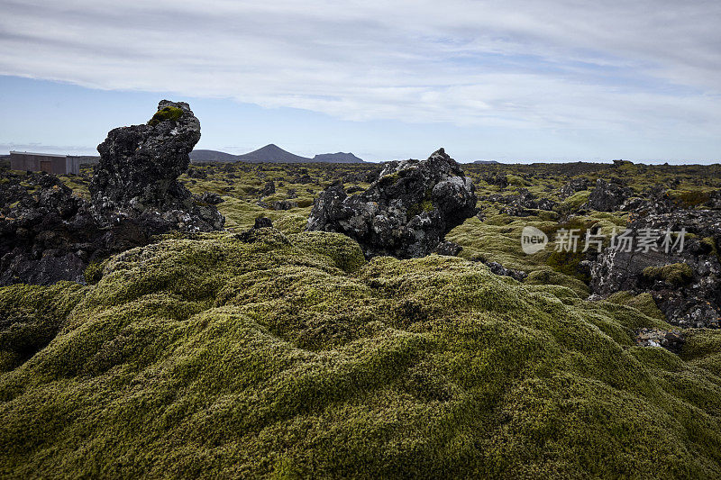 苔藓覆盖着冰岛的岩石和火山景观