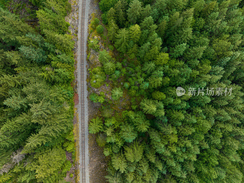 从空中看到森林中的铁轨