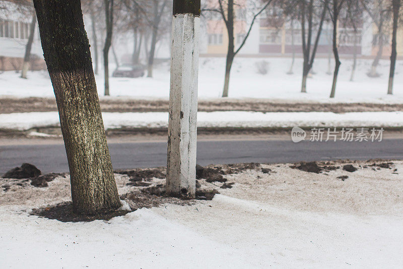 路边。肮脏的积雪。污染