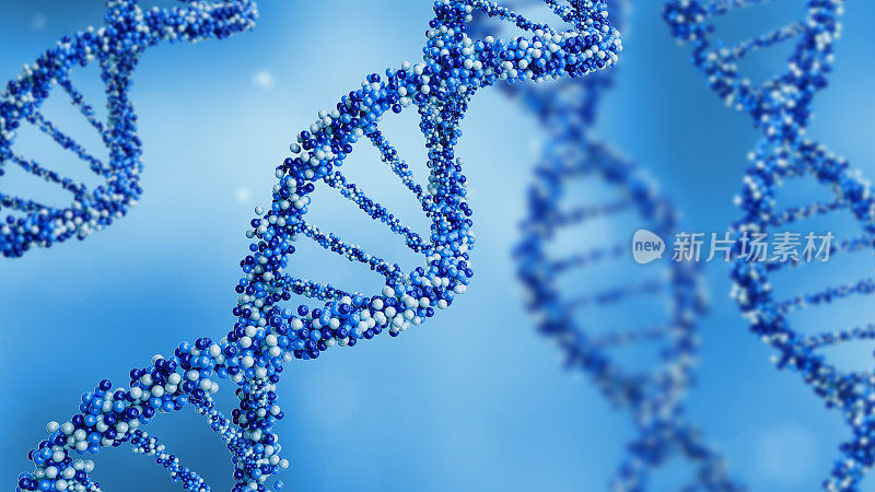 三维DNA结构