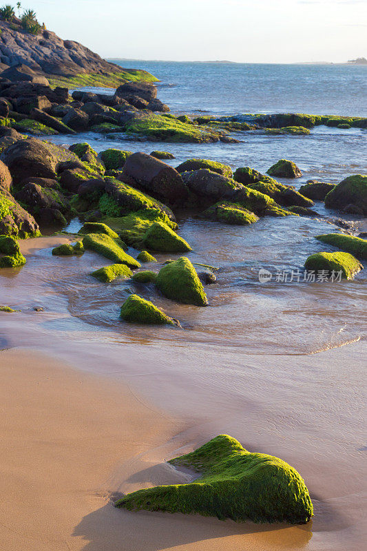 下午晚些时候，海滩上有石头和绿色的苔藓