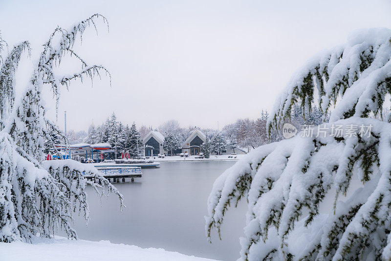 雪下的公园景观背景照片