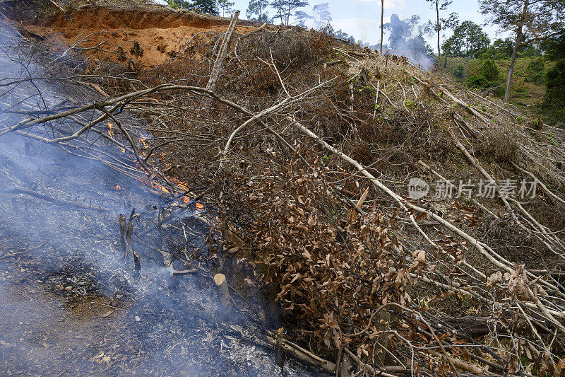 通过燃烧森林砍伐清理新的土地-库存照片