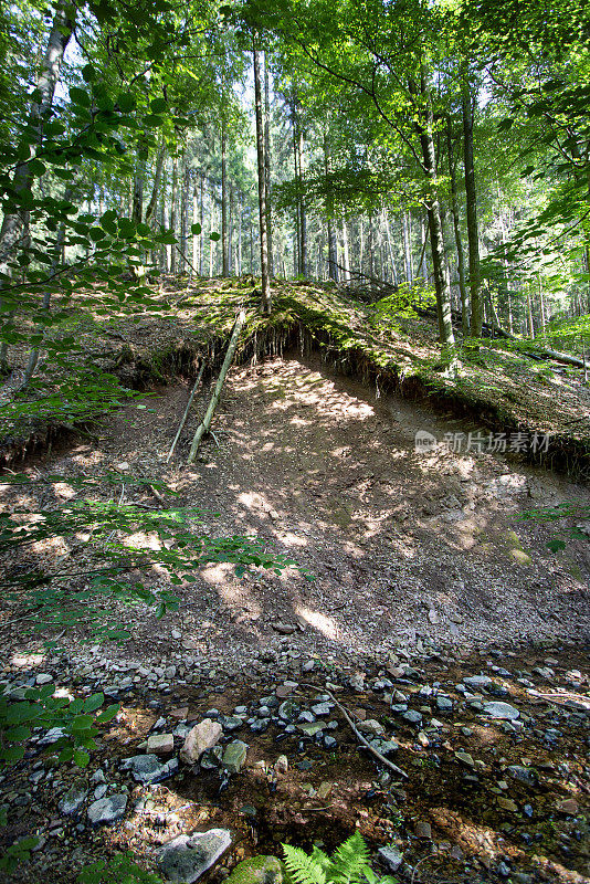 小峡谷和小溪，生物圈保护区Rhön，德国