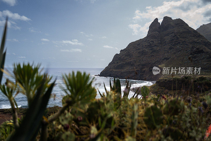 在加那利群岛特内里费岛的沿海生态系统徒步旅行