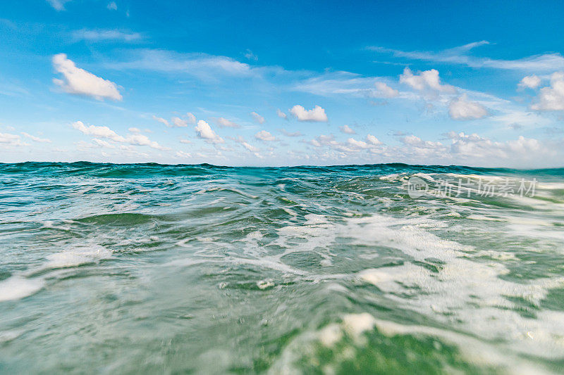 海洋风景优美，水下有海天浪，海滩有佛罗里达棕榈滩