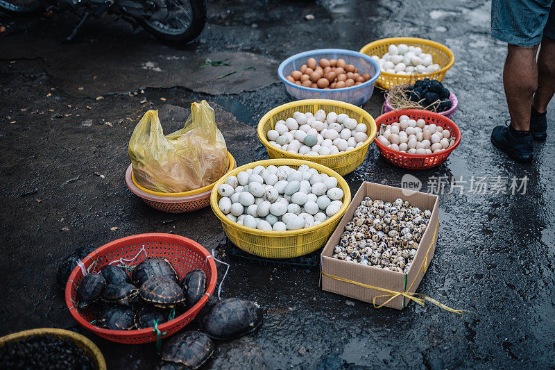 越南南部街头市场上的鸡蛋和海龟