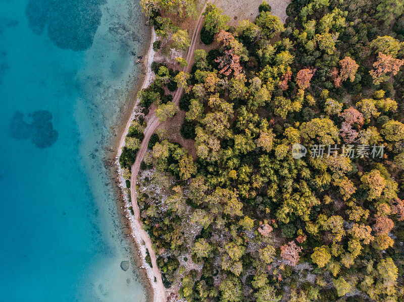 无人机观察爱琴海海岸线和松树林