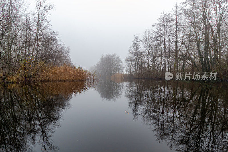 晨雾中的风景