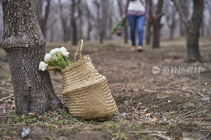 在林地的地上，新鲜的野花放在篮子里