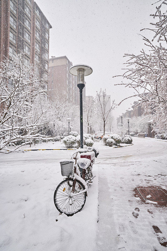 大雪天气:树木和街道被厚厚的积雪覆盖