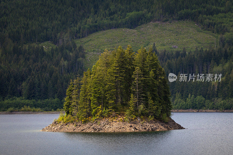 坎贝尔湖的小岛