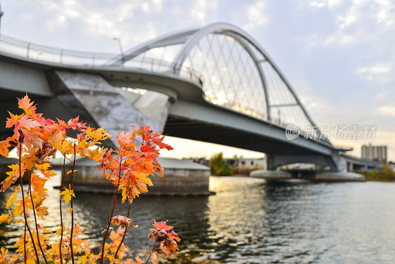 明尼苏达州明尼阿波利斯河畔的秋天色彩