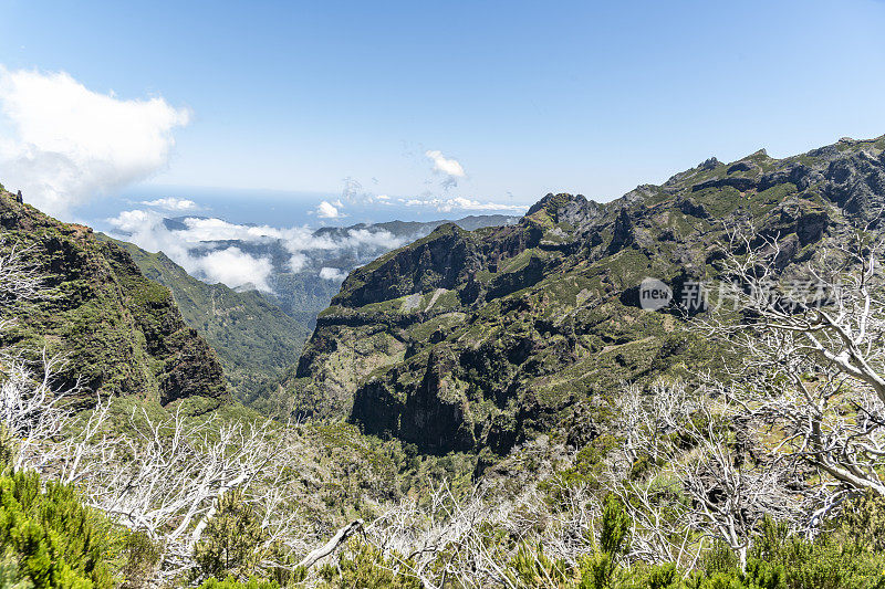 风景如画的山景