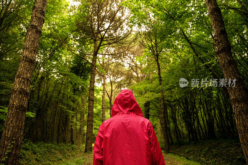 一个穿着红色连帽雨衣的男人独自在森林里