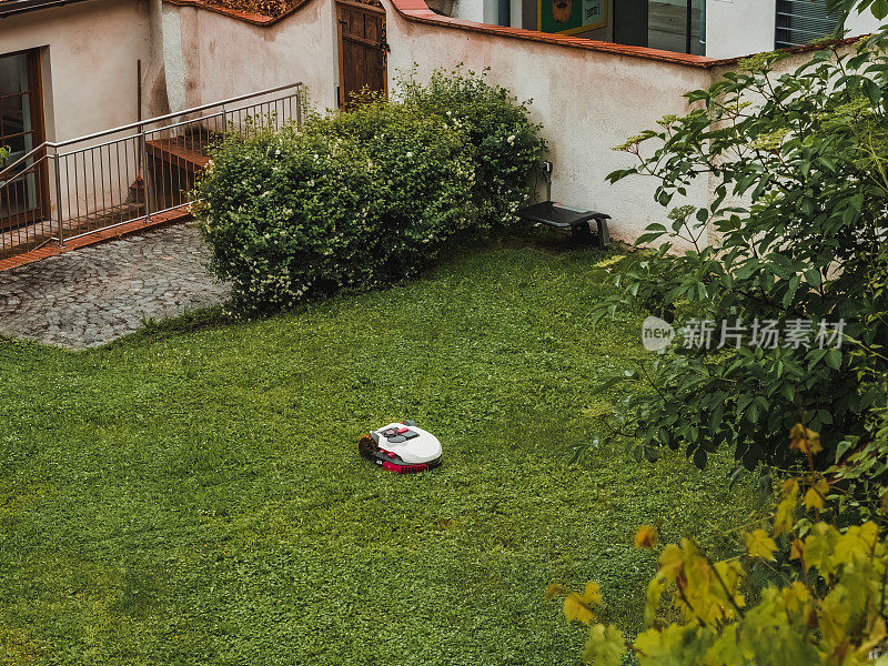 机器人割草机在房子院子的草坪上