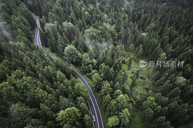 鸟瞰绿色森林中的山路