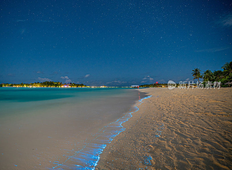 生物发光。马尔代夫浮游生物的照明。海滩上有许多明亮的微粒。发光的海滩