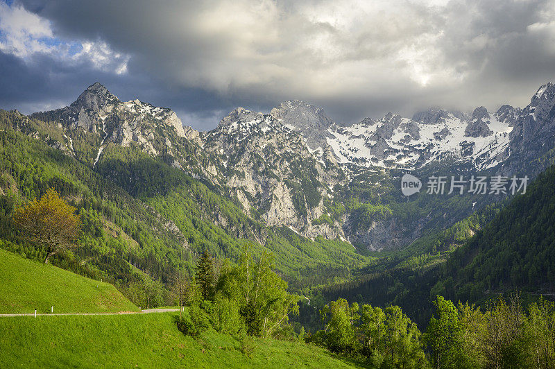 洛加尔山谷风景卡姆尼克萨维加阿尔卑斯山在斯洛文尼亚的一个美丽的春天