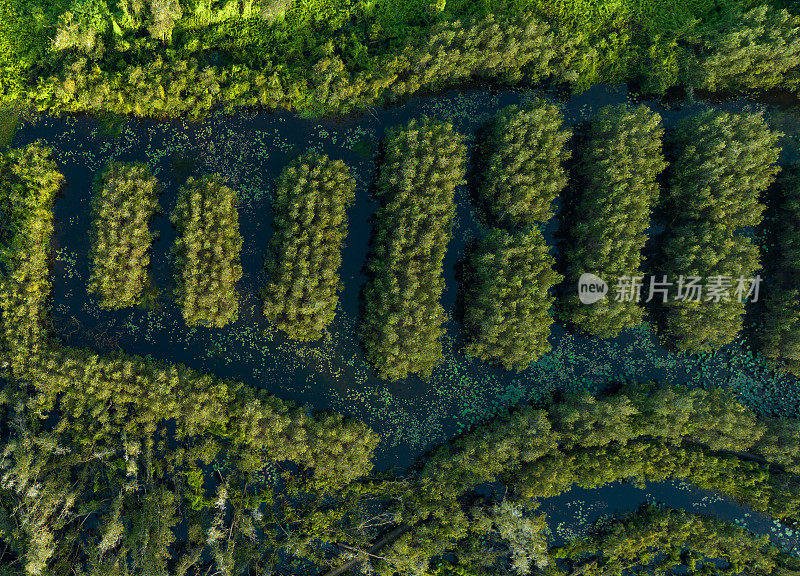 龙安省潭腊湿地生态旅游区航拍照片