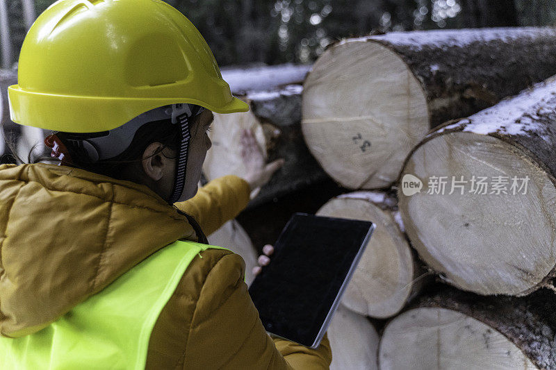 可持续的小木屋建设。