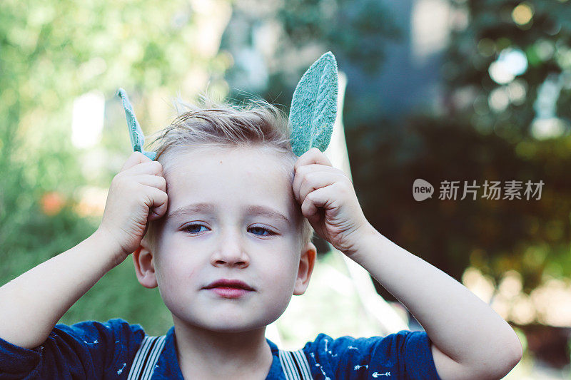 一个男孩拿着树叶的特写肖像