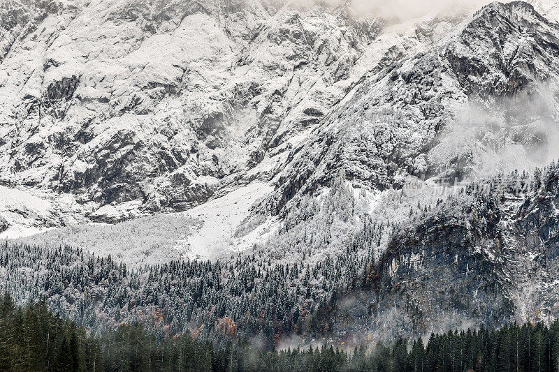 美丽的冬季景观，在落基山脉的斜坡上被雪覆盖的树木