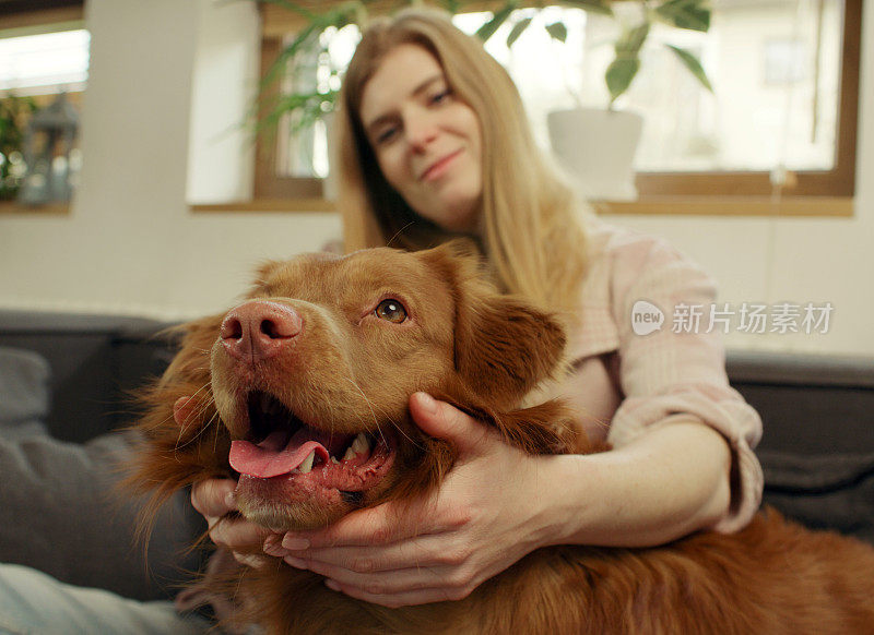 一位女士和心爱的宠物狗新斯科舍省鸭鸣猎犬一起躺在沙发上，愉快地抚摸着它