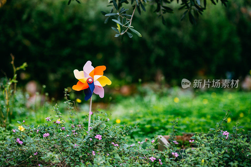 花园里五颜六色的风车玩具